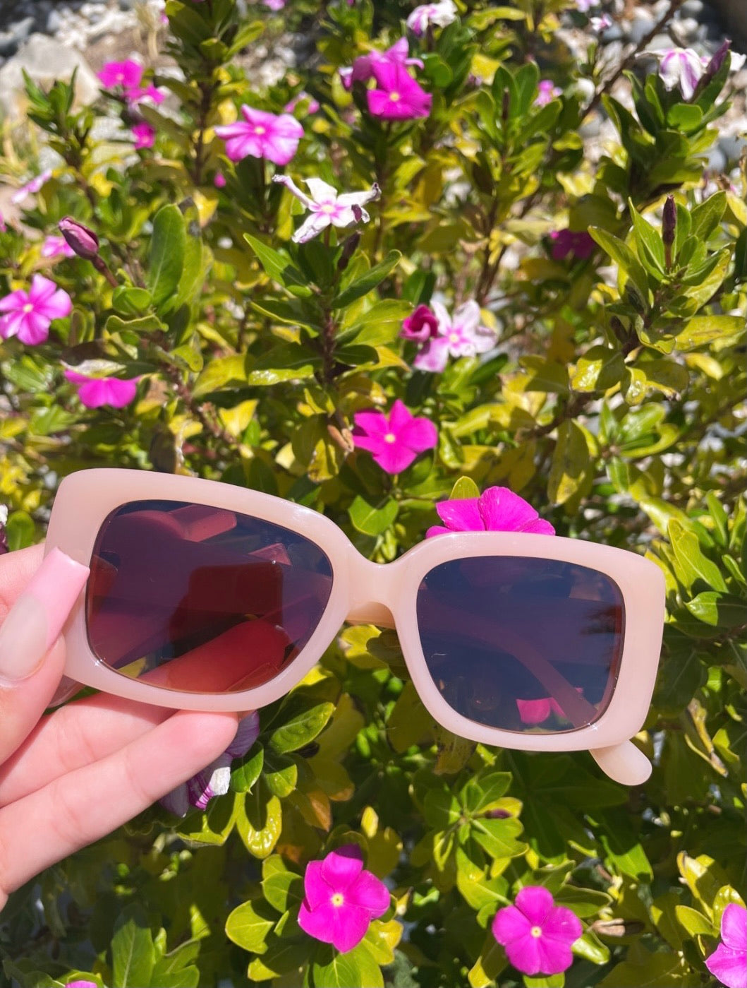 i can’t talk rn sunnies